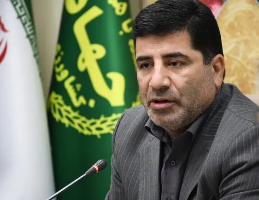 بازگشت ارز ترجیحی برای نهاده&zwnj;های دامی و برخی کالاهای اساسی