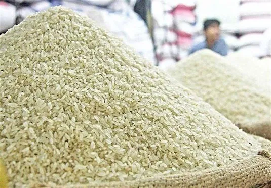 خشکسالی نیمی از برنج امسال را وارداتی کرد