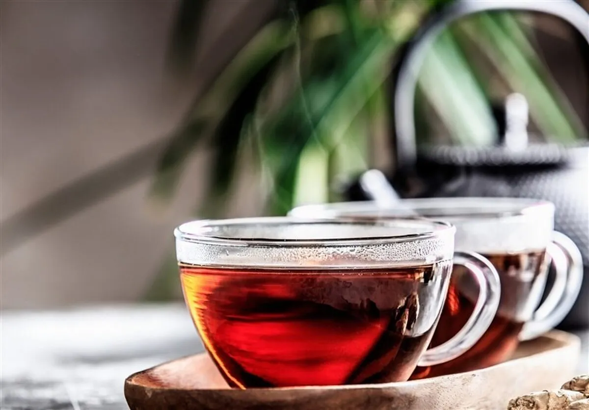 آغاز ثبت سفارش چای از امروز با سقف ۱۵ هزار تن