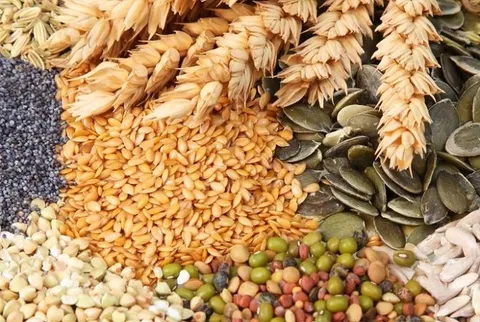 آسیب‌پذیری امنیت غذایی جهان از تنش‌های ژئوپلیتیکی
