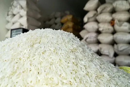 لغو ممنوعیت ترخیص برنج در فصل برداشت