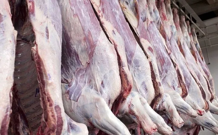 گوشت قرمز