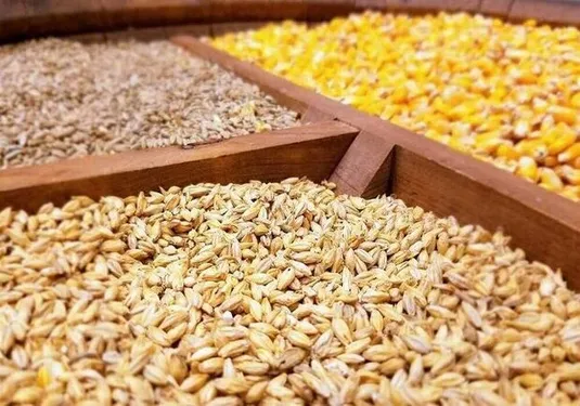 ثبت&zwnj;سفارش نهاده&zwnj;های دامی آغاز شد