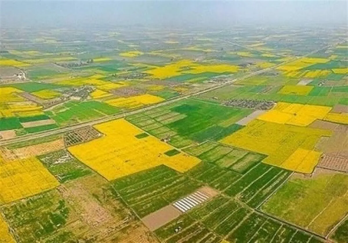 ۷۷ درصد اراضی کشاورزی حدنگاری شد