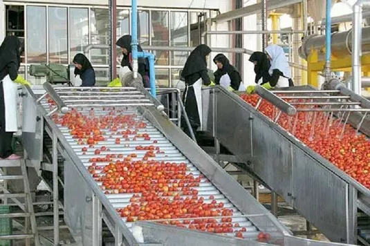 صنایع تبدیلی ابزار کلیدی کاهش فشار بر خاک است