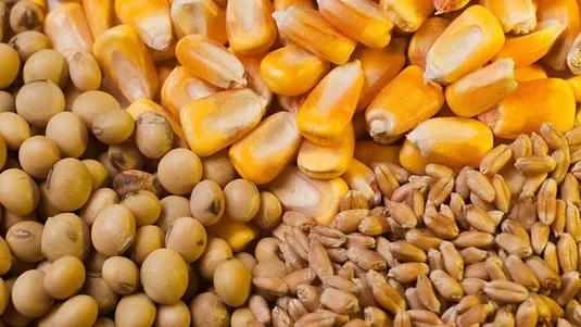رفع مشکلات تامین نهاده&zwnj;های دامی در دستور&zwnj;کار وزارت جهاد