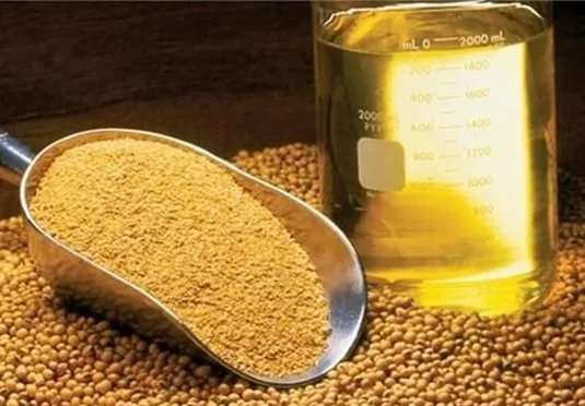 سقف ارزی قیمت انواع غلات، روغن خام و دانه&zwnj;های روغنی تعیین شد