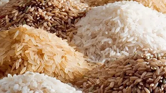 ۲۰۰ هزار تن برنج در انتظار مجوز ترخیص