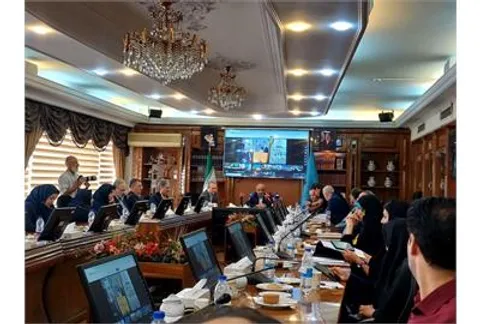 میدری:سال سوم دولت باید سال بخش تعاون باشد