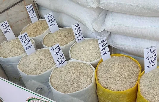 قیمت برنج امروز پنجشنبه اول آبان ۱۴۰۴ در بازار جهانی
