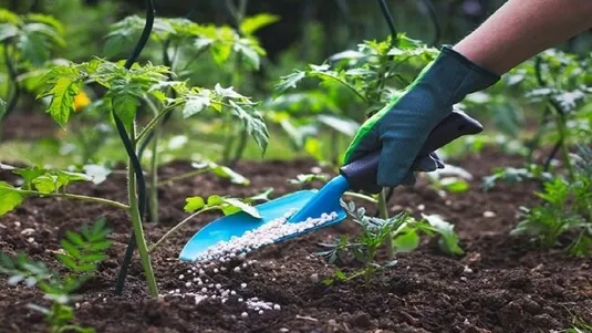 ۱۰ درصد کود&zwnj;های کشاورزی وارداتی است
