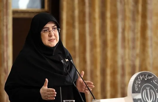 مهاجرانی: سرمایه&zwnj;گذاری در انرژی&zwnj;های نو را ادامه می&zwnj;دهیم