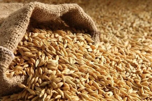 ثبت سفارش جدید جو فردا آغاز می&zwnj;شود