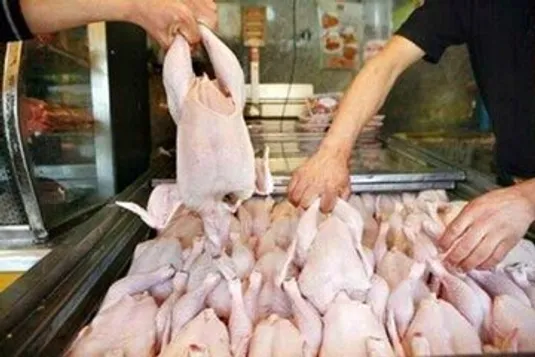 قیمت انواع گوشت مرغ در تهران اعلام شد