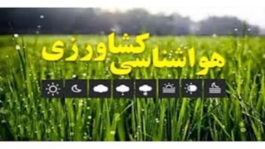 کشاورزان نسبت به جمع آوری سرشاخه و میوه&zwnj;های آلوده قبل و بعداز وزش باد اقدام کنند