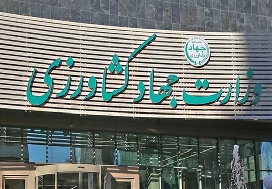 هشدار به گندم&zwnj;کاران درپی کاهش بارندگی&zwnj; پاییز