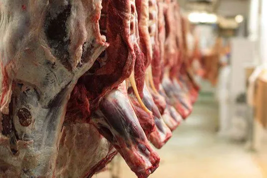 ثبات در بازار گوشت قرمز