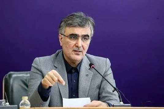 فرزین: تخصیص ارز ترجیحی برای نهاده&zwnj;های دامی و کالاهای اساسی ادامه دارد