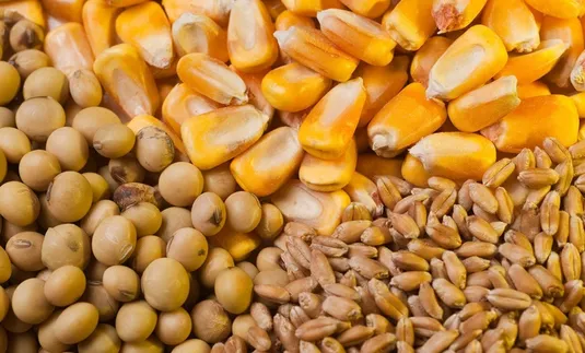 نهاده&zwnj;های دام و طیور تا ۵ ماه آینده تامین است