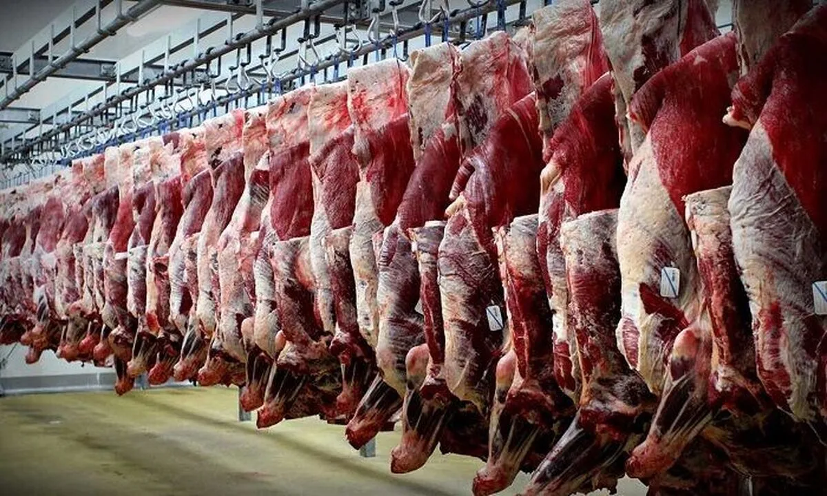 سیستم نظارتی بر توزیع گوشت‌های وارداتی، کارایی لازم را نداشت