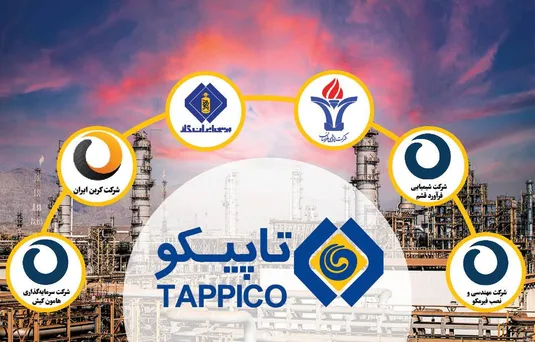 سه سناریو برای کاهش تصدی گری در تاپیکو/ عدم النفع پتروشیمی ها از ناترازی گاز