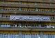 وزارت کار از برگزاری جلسه بازنگری مزد کارگران شانه خالی نکند