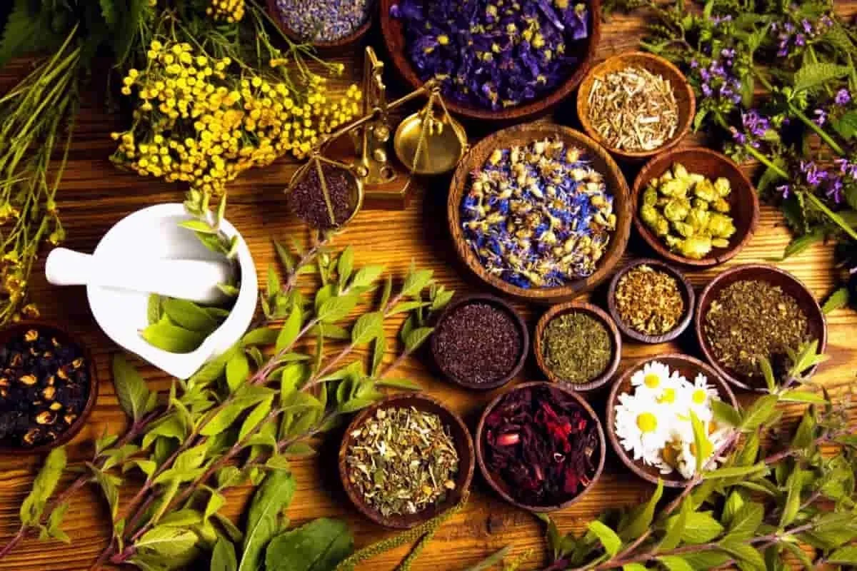 روسیه بازار بکری برای گیاهان دارویی ایران است
