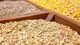 طی روز‌های آتی نهاده مورد نیاز تولیدکنندگان تامین می‌شود