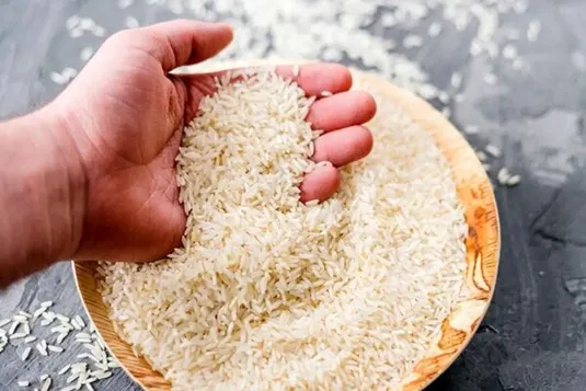عرضه برنج ایرانی به قیمت ۲۷۰ هزار تومان/ تخلف سه شرکت بزرگ در برنج محرز شد