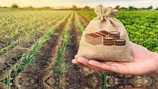 پرداخت خسارت&zwnj;های بخش کشاورزی به&zwnj; روز شد