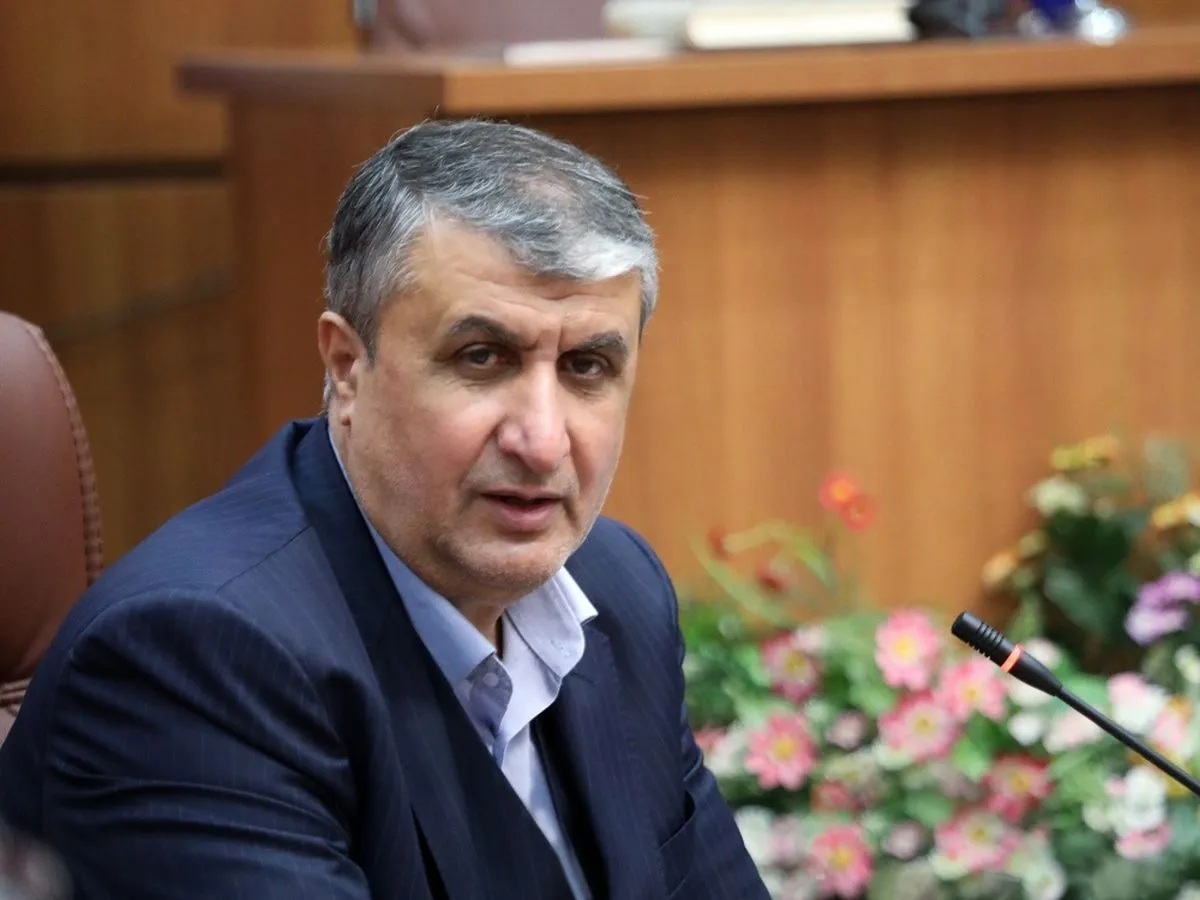 محمد اسلامی رئیس سازمان انرژی اتمی