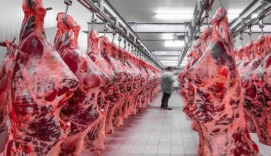 فقر پروتئینی در راه است؟/ حذف ارز ترجیحی گوشت زنگ خطر را به صدا درآورد
