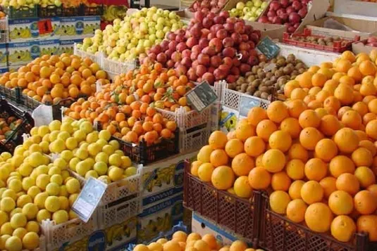 پیش&zwnj;بینی تولید ۸ میلیون تن مرکبات برای امسال