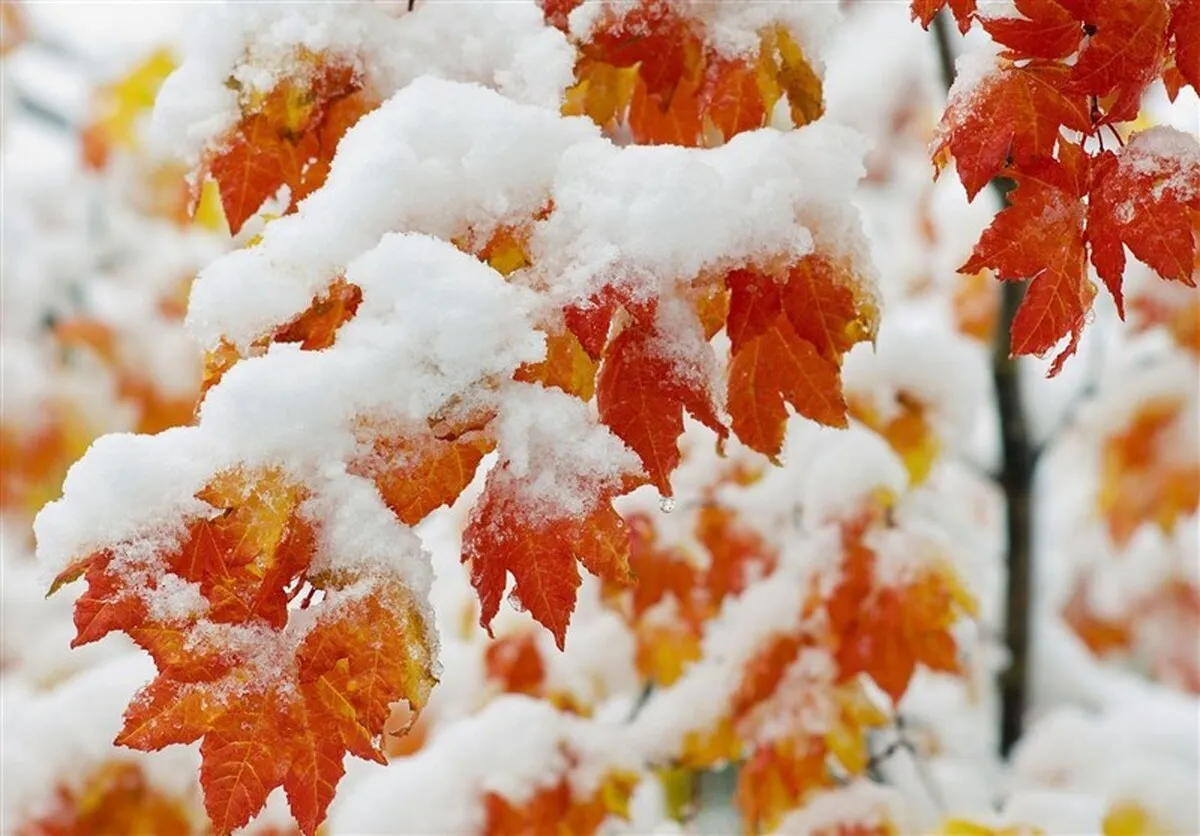 برف و باران در ۲۳ استان/هشدار نارنجی برای ۱۷ استان