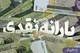 یارانه نقدی جدید با کالابرگ؛ مشاهده و پیگیری اعتبار کالابرگ در این سامانه