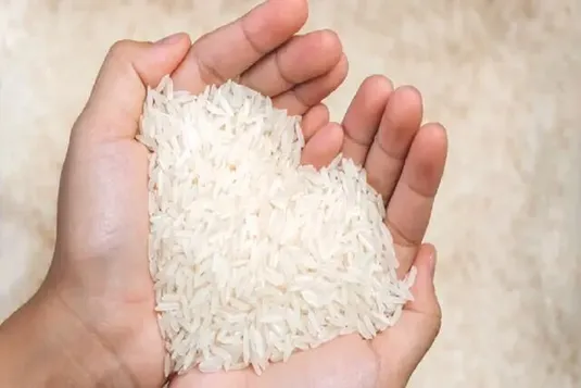 کنترل قیمت با ترخیص برنج&zwnj;های وارداتی از گمرک/ آغاز ثبت سفارش برنج از ۵ آذر