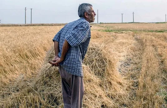 ۱۰ راهکار برای تغییر خشکسالی به کم&zwnj;آبی/ تشنگی کشاورزی روزی بحران&zwnj; می&zwnj;شود