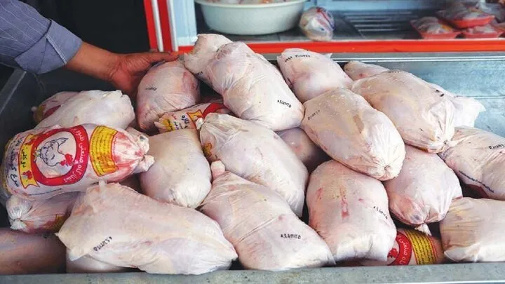  صادرات گوشت مرغ 