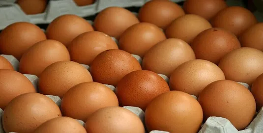 ۴۷ هزار تن تخم مرغ خرید حمایتی شد