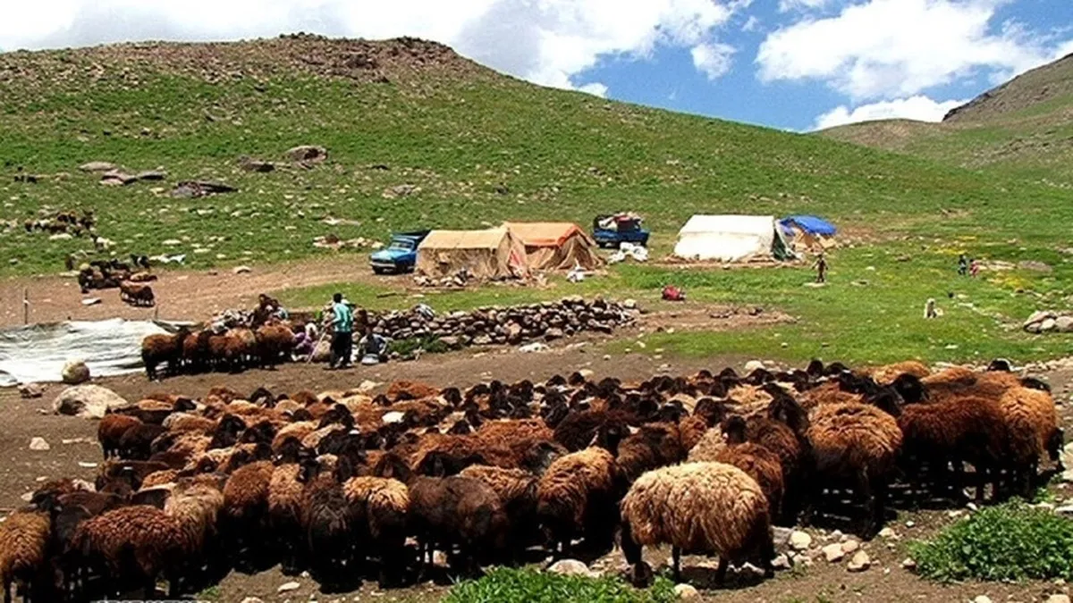 صدور کارت هوشمند عشایر گامی برای خدمات رسانی