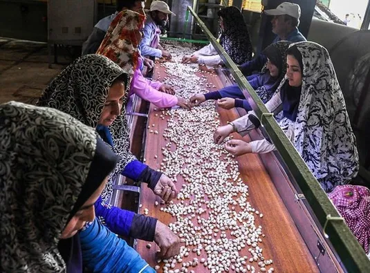 حمایت دولت از سرمایه&zwnj;گذاری در روستا/ کارگاه&zwnj;های روستایی به بنگاه&zwnj;های بزرگ متصل می&zwnj;شود