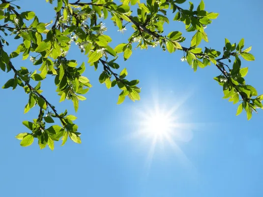 گزارش هواشناسی امروز ۳۱ شهریور ۱۴۰۵