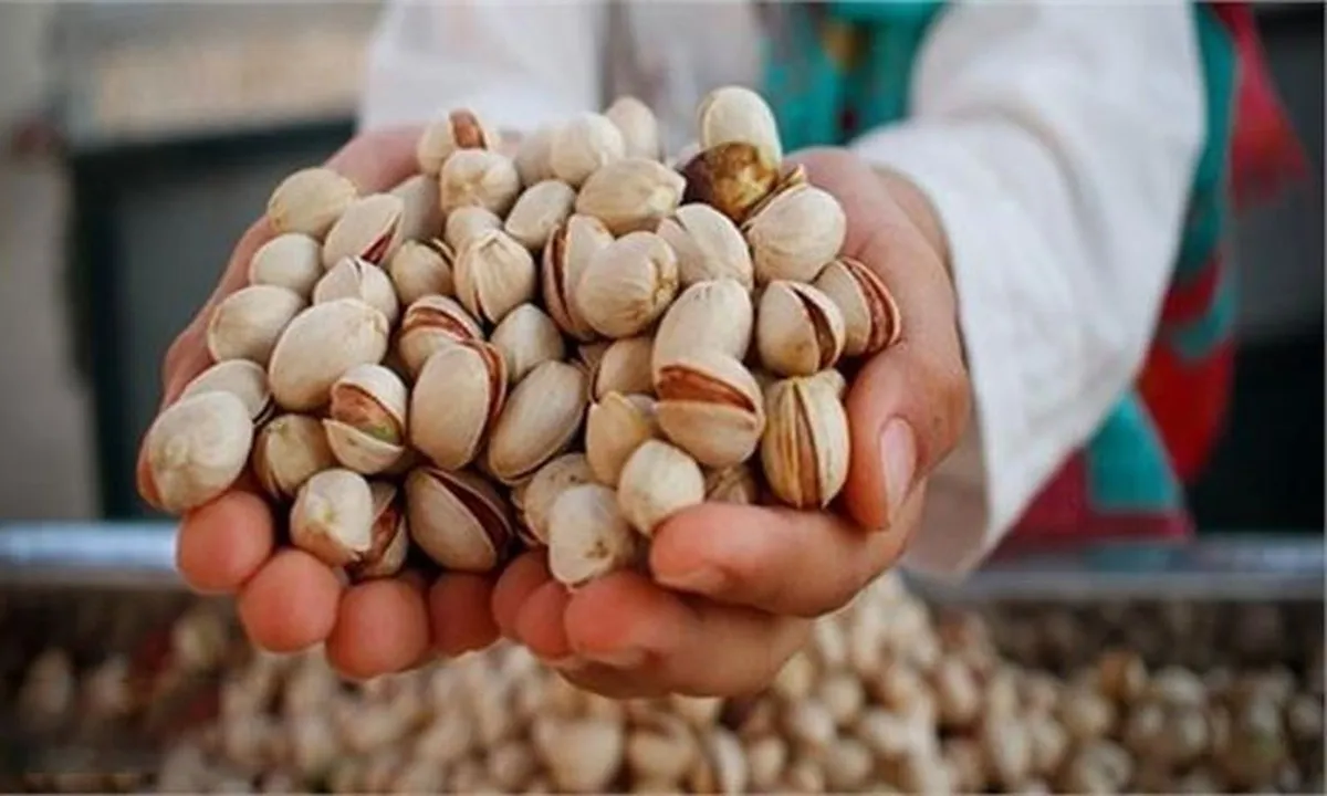 صادرات ۱۰۰ هزار تن پسته به ۶۷ کشور در ۹ ماه