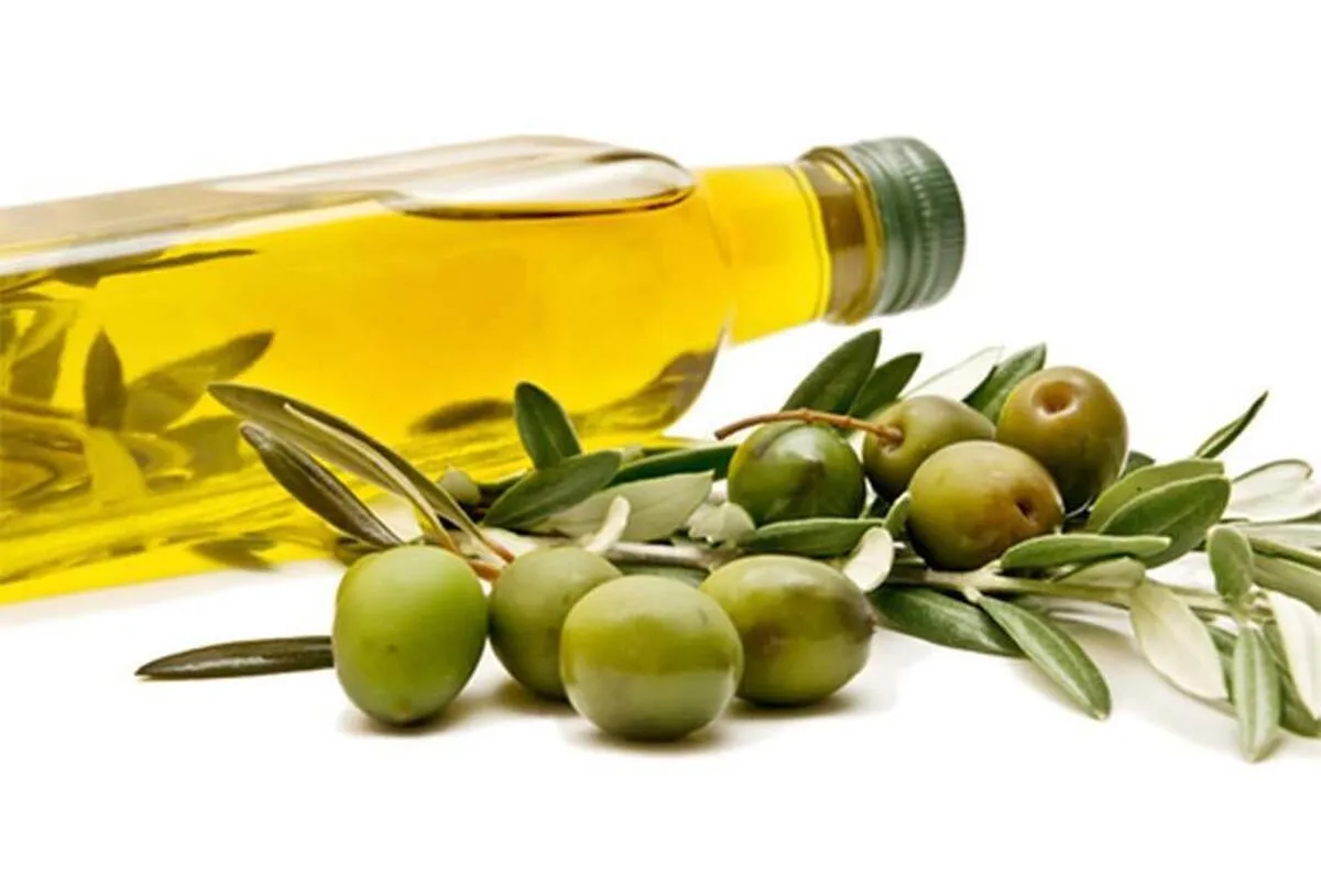 تاکید بر جلوگیری از خام‌فروشی میوه زیتون