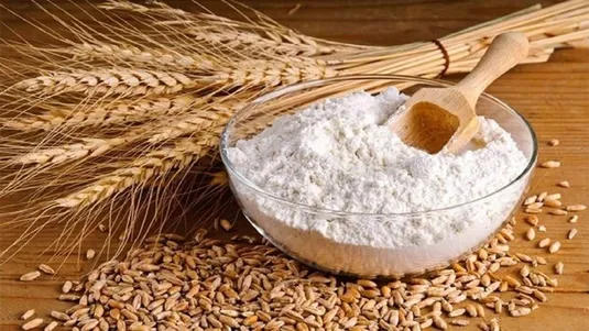 قیمت منطقی خرید تضمینی هرکیلو گندم ۴۰ هزارتومان