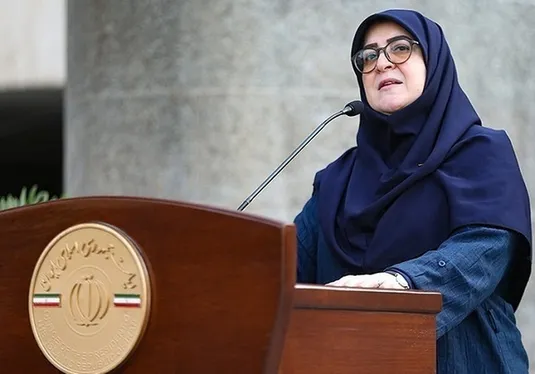 شیوه جدیدی برای مقابله با اسنپ بک اتخاذ کردیم/ دولت از نوسان قیمت&zwnj;ها با خبر است
