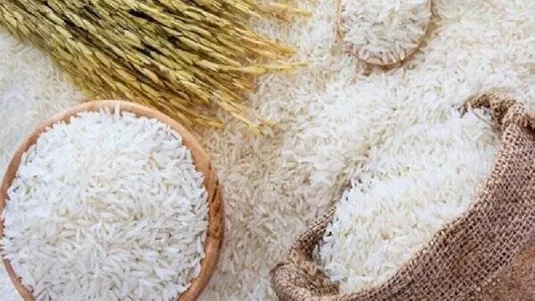 خودکفایی برنج مشروط بر ایجاد زیرساخت و حمایت از تولید داخل