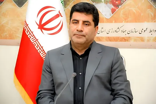یارانه ۱ میلیونی کل مابه&zwnj;التفاوت ارز کالا&zwnj;های اساسی را پوشش می&zwnj;دهد
