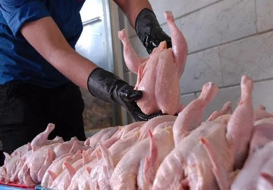 فروش مرغ بیش از ۹۰هزار تومان گران&zwnj;فروشی است