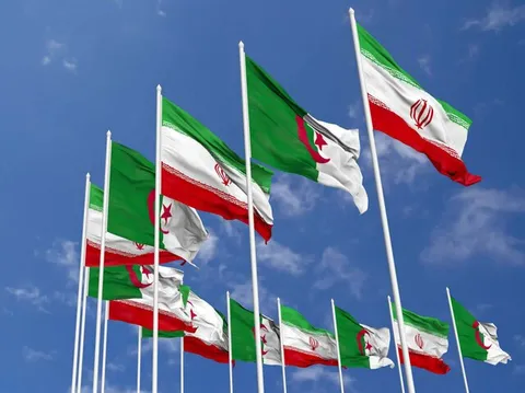 ۸ شیوه رشد تجارت ایران و الجزایر؛ شرکایی بالقوه بدون واسطه‌های غیررسمی